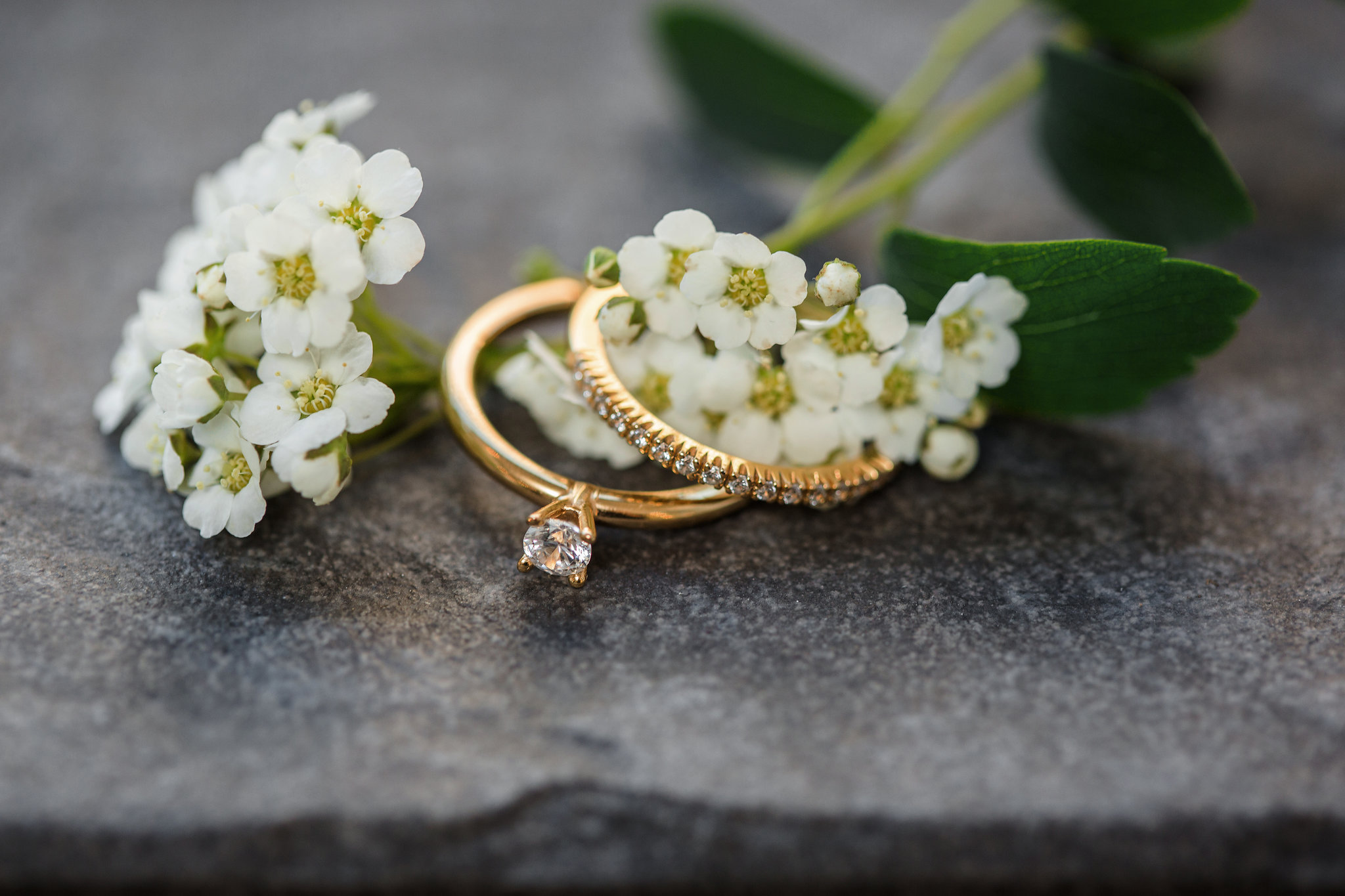 Ring Olympia diamanter guld 18 karat  - 4