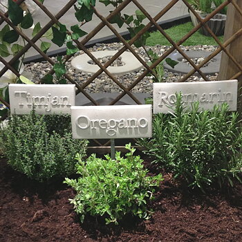 TIMJAN-OREGANO-ROSMARIN