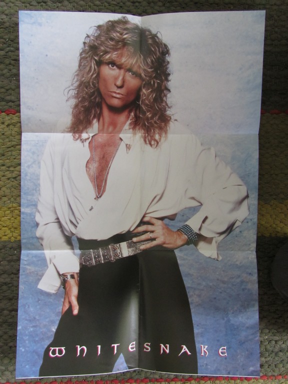Whitesnake Fool For Your Loving / Slow Poke Music 7" singel med posteromslag - 3