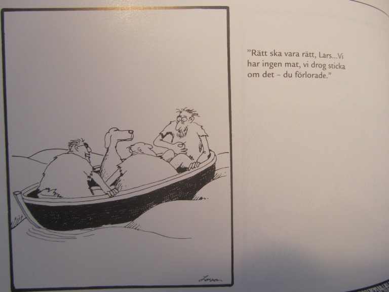 Larson Den andra sidan Inbundet album - 4