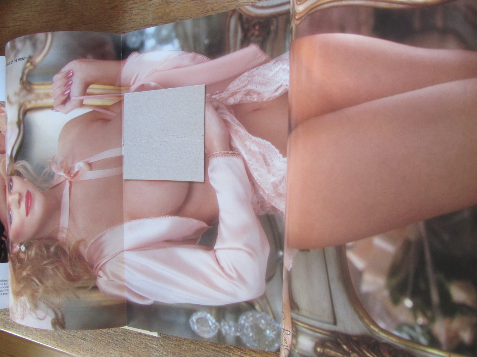 Playboy 1991 01 January - 2