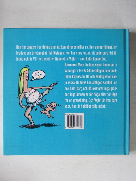 Maja Lindén Namnet är Vajlet men kalla mig Gud - 2