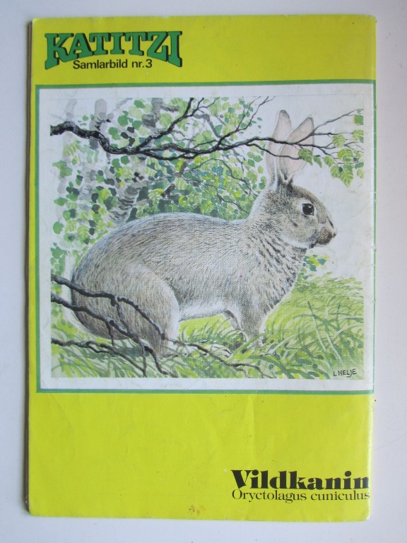 Katitzi 1975 03 - 2