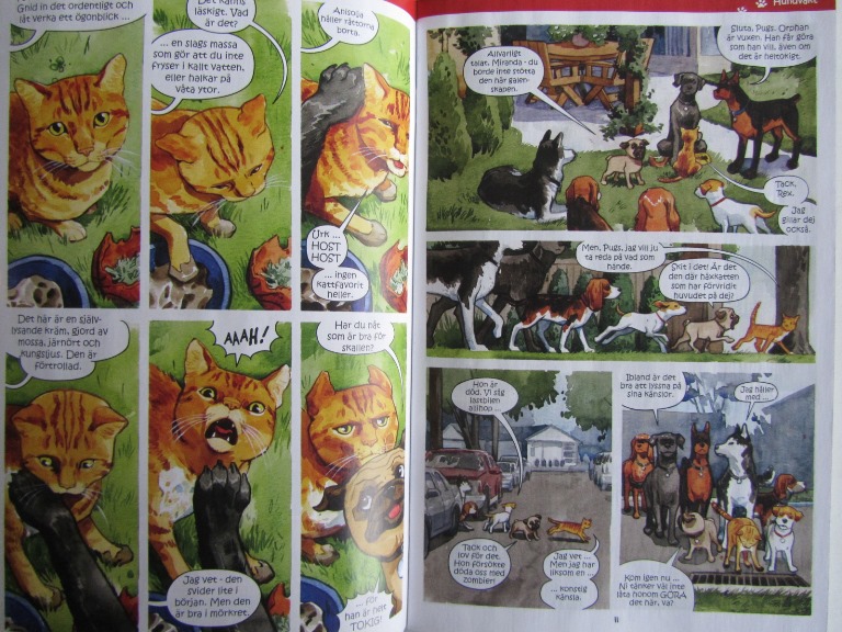Nemi 2013 05 - 3