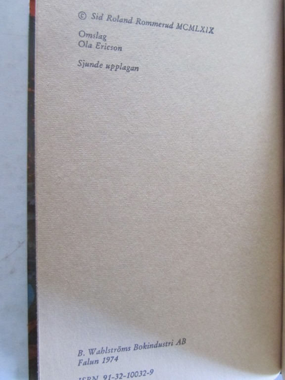 Tvillingdetektiverna Rånar-mysteriet - 2