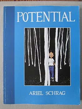 Potential av Ariel Schrag
