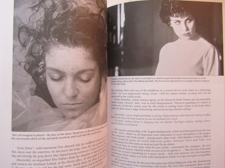Weirdsville USA The Obsessive Universe of David Lynch - 5