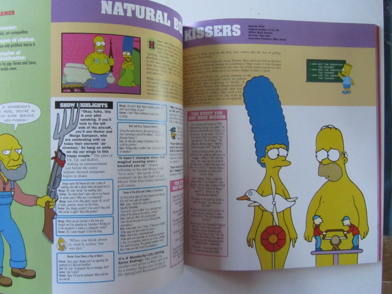 Simpsons Forever Guide Säsong 9-10 - 3
