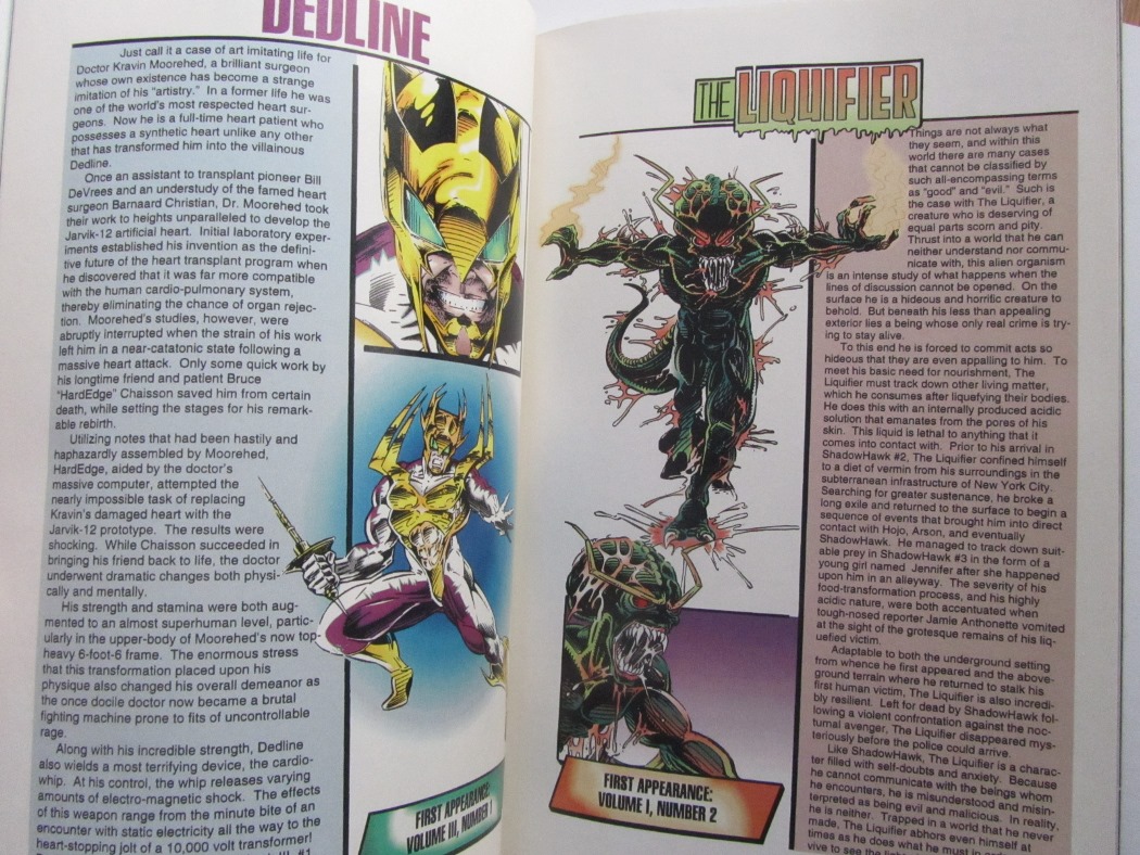 Shadowhawk 2 The Secret Revealed - 4