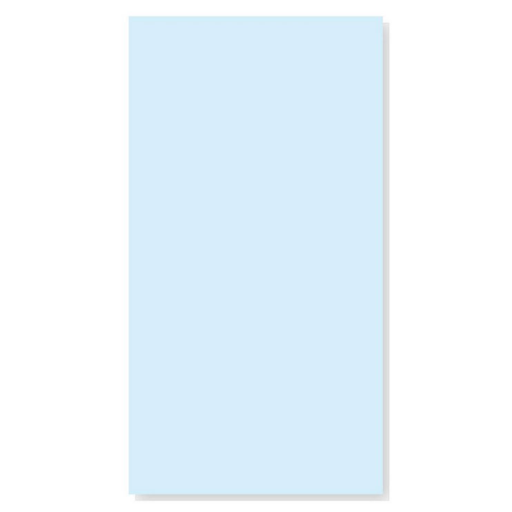 Skyddsplast till poster Sielaff