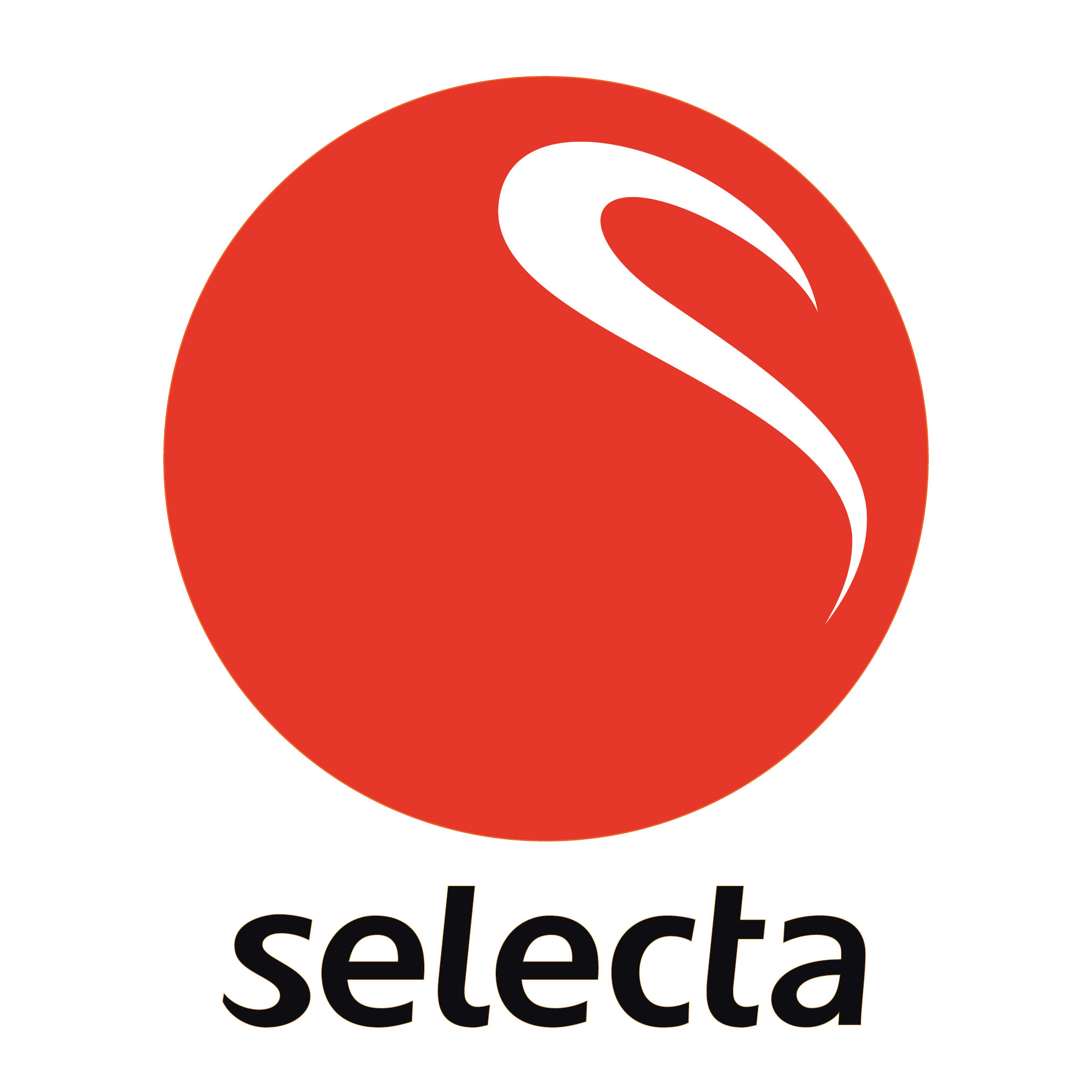 Selecta Vertical Logo  Large and Small Vans. (Rear)