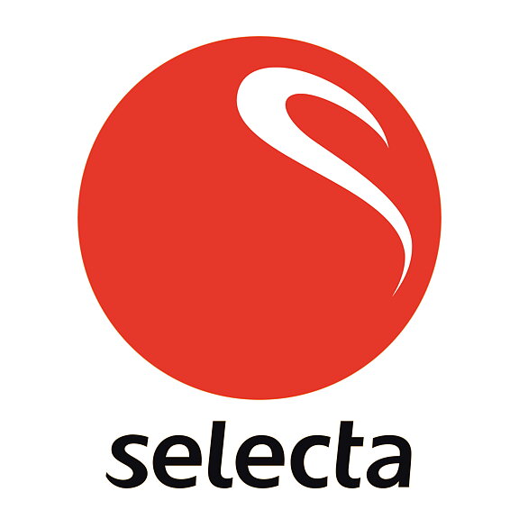 Selecta Vertical Logo  Large and Small Vans. (Rear)