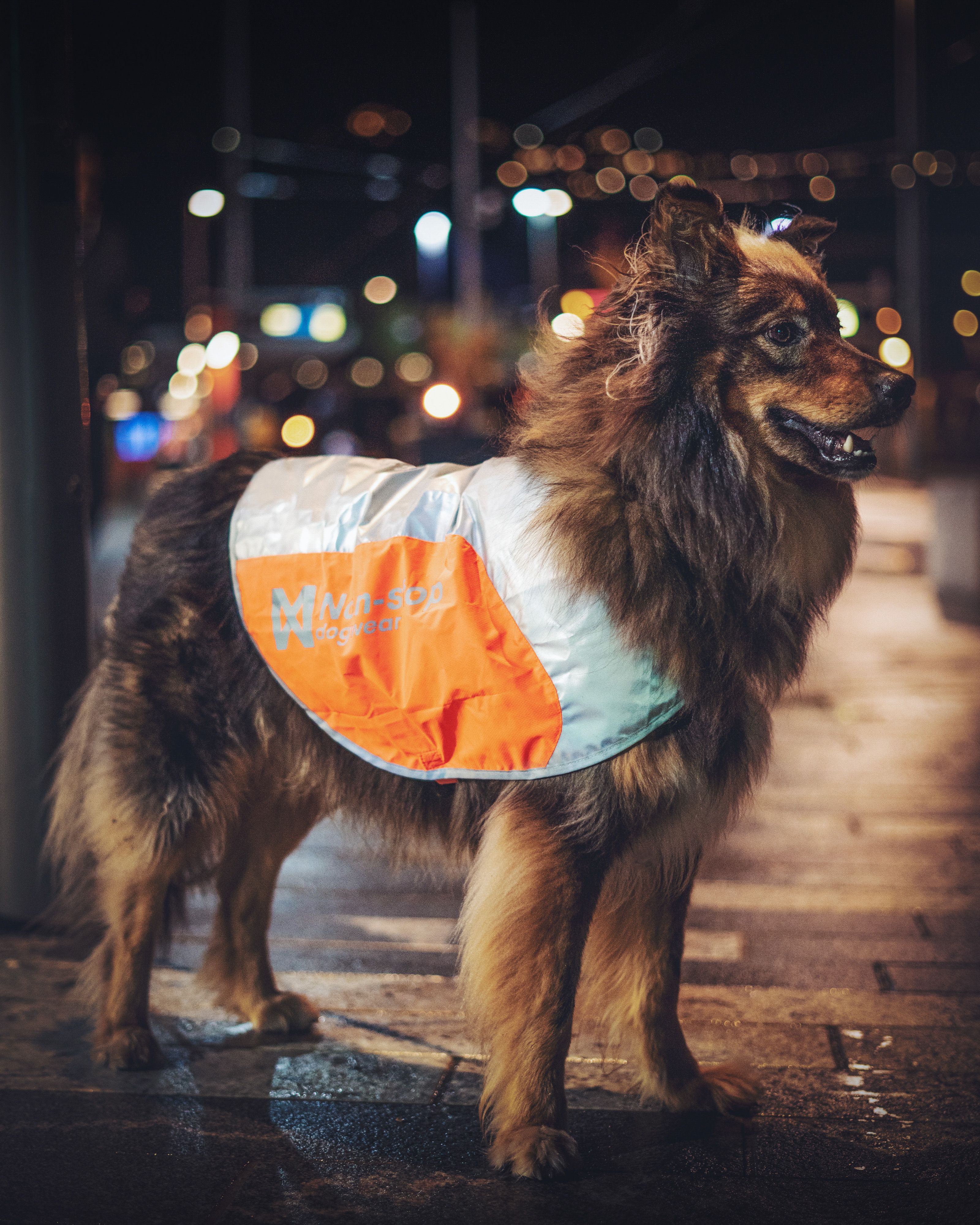 Non-Stop Dogwear Reflection Blanket - 5