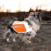 Non-Stop Dogwear Reflection Blanket - 2