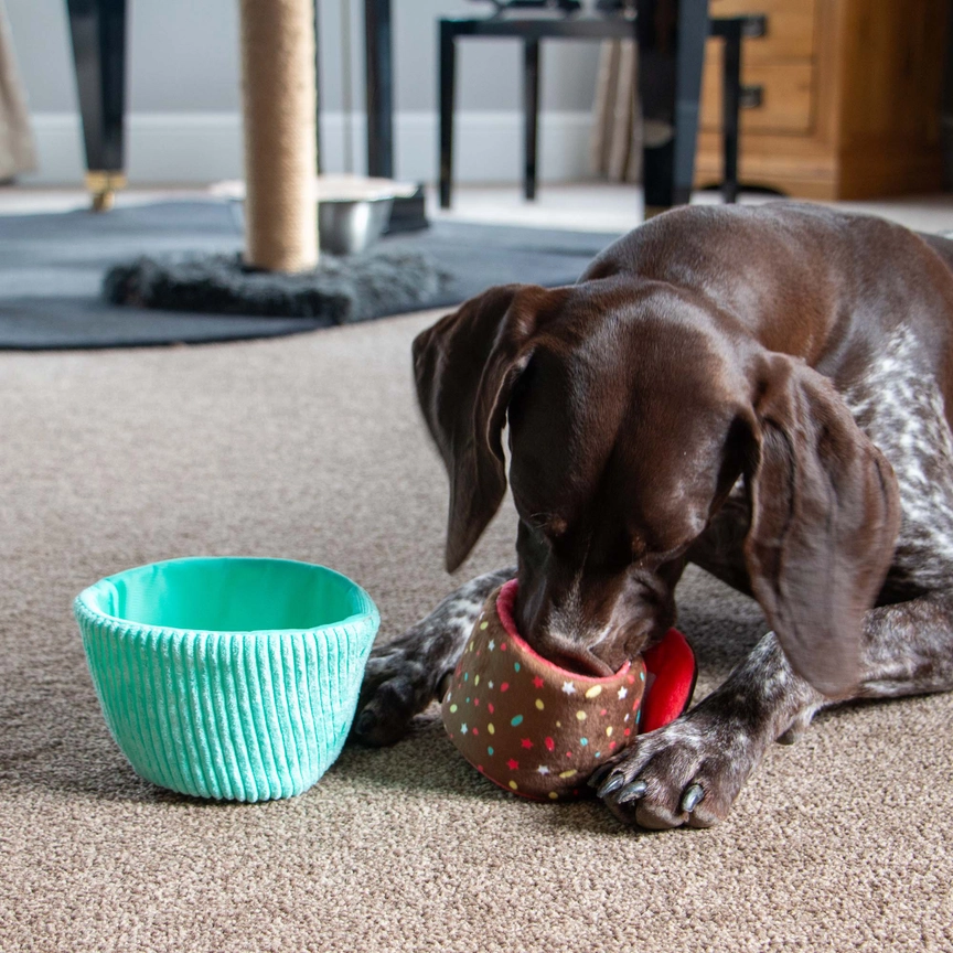 Pawty Snuffle Cupcake Gul - 4