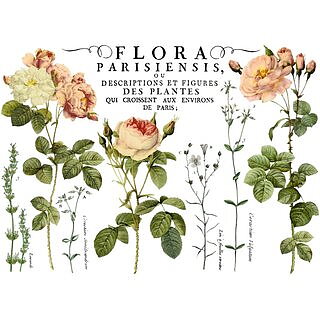 IOD Dekor Transfer Flora Parisiensis