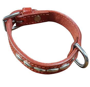 Halsband med nitar  röd 25 cm Eckers