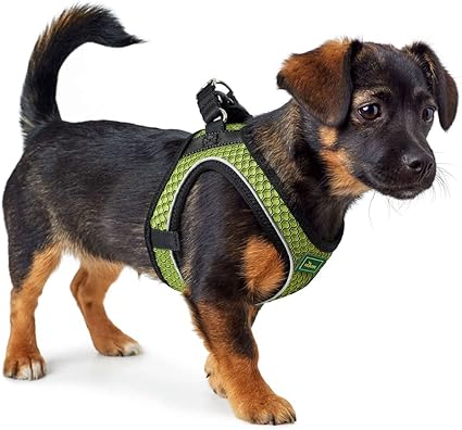 Hunter Hilo Step-In  Neongul - 2