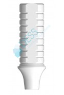 Castable H2,5mm utan låsning för Ankylos® C/X