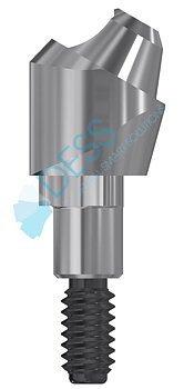 Multi-Unit Abutment 30º RP 5 mm NobelReplace®