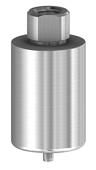  Pre-milled blank NP 14 mm för Straumann® bone level