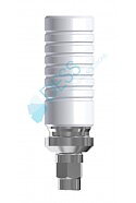 CoCr Base engaging NP for Friadent® Xive®