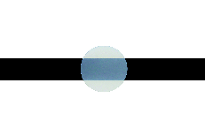 PANAVIA V5 Try-in Paste (Clear) - 2