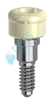 DESS Loc 1 mm NP for Xive®