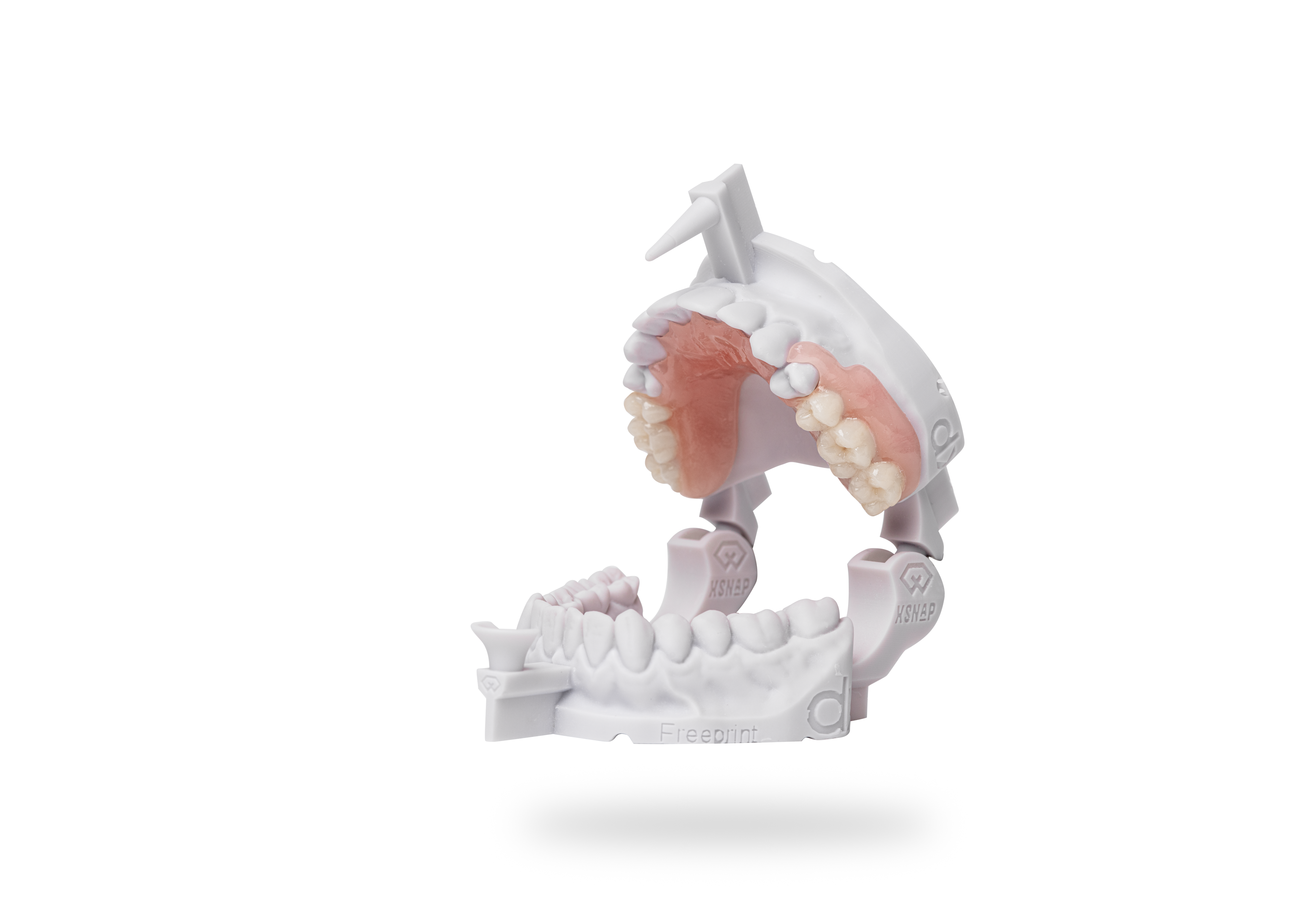 Detax Freeprint Denture Flex Resin Clear 1000 g - 9