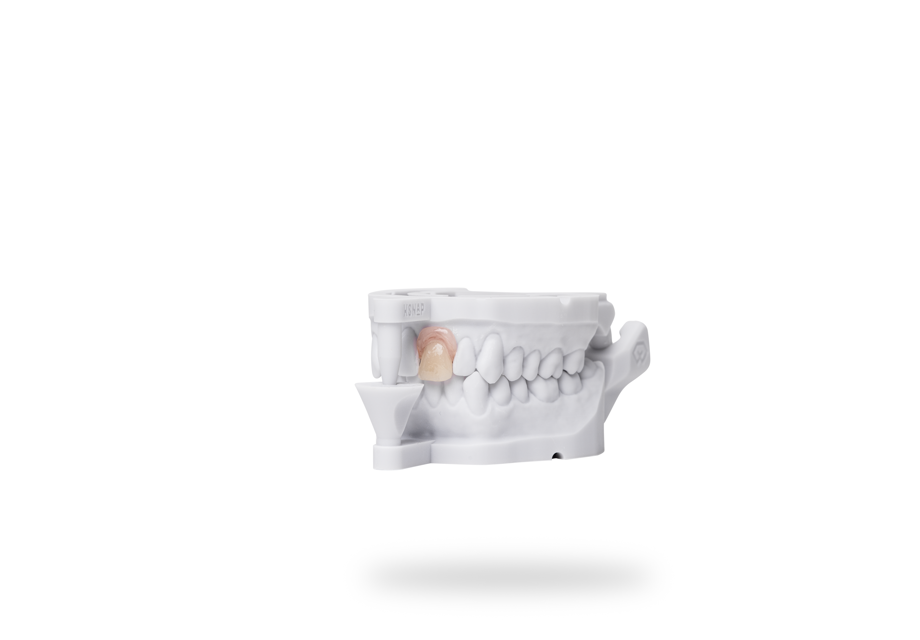 Detax Freeprint Denture Flex Resin Clear 1000 g - 8