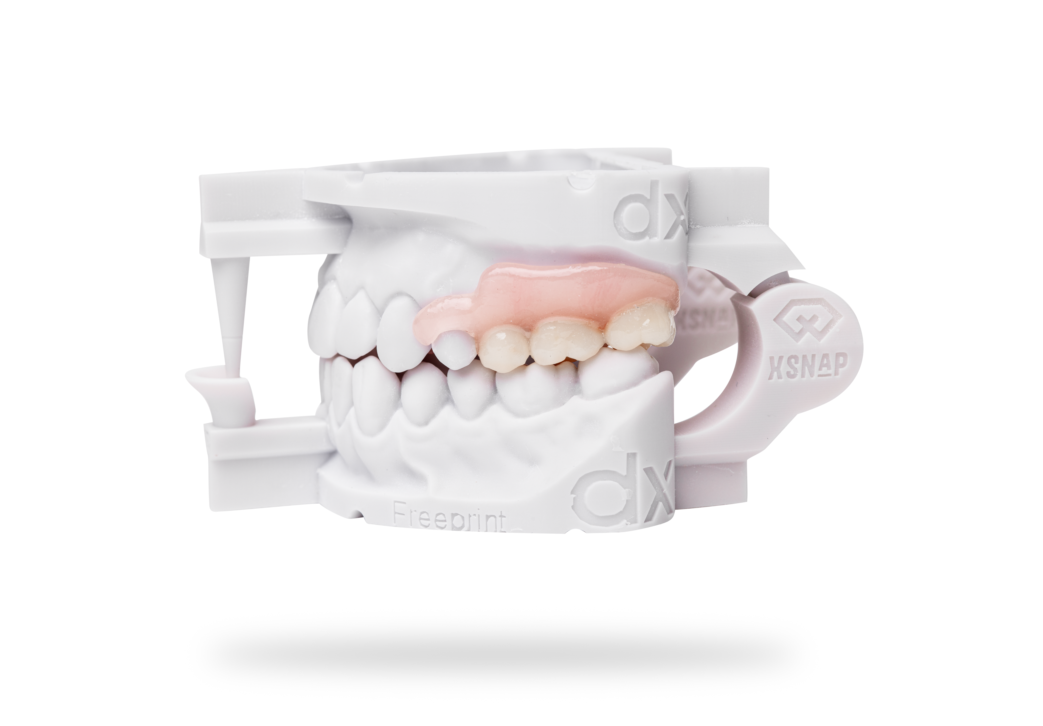 Detax Freeprint Denture Flex Resin Clear 1000 g - 10