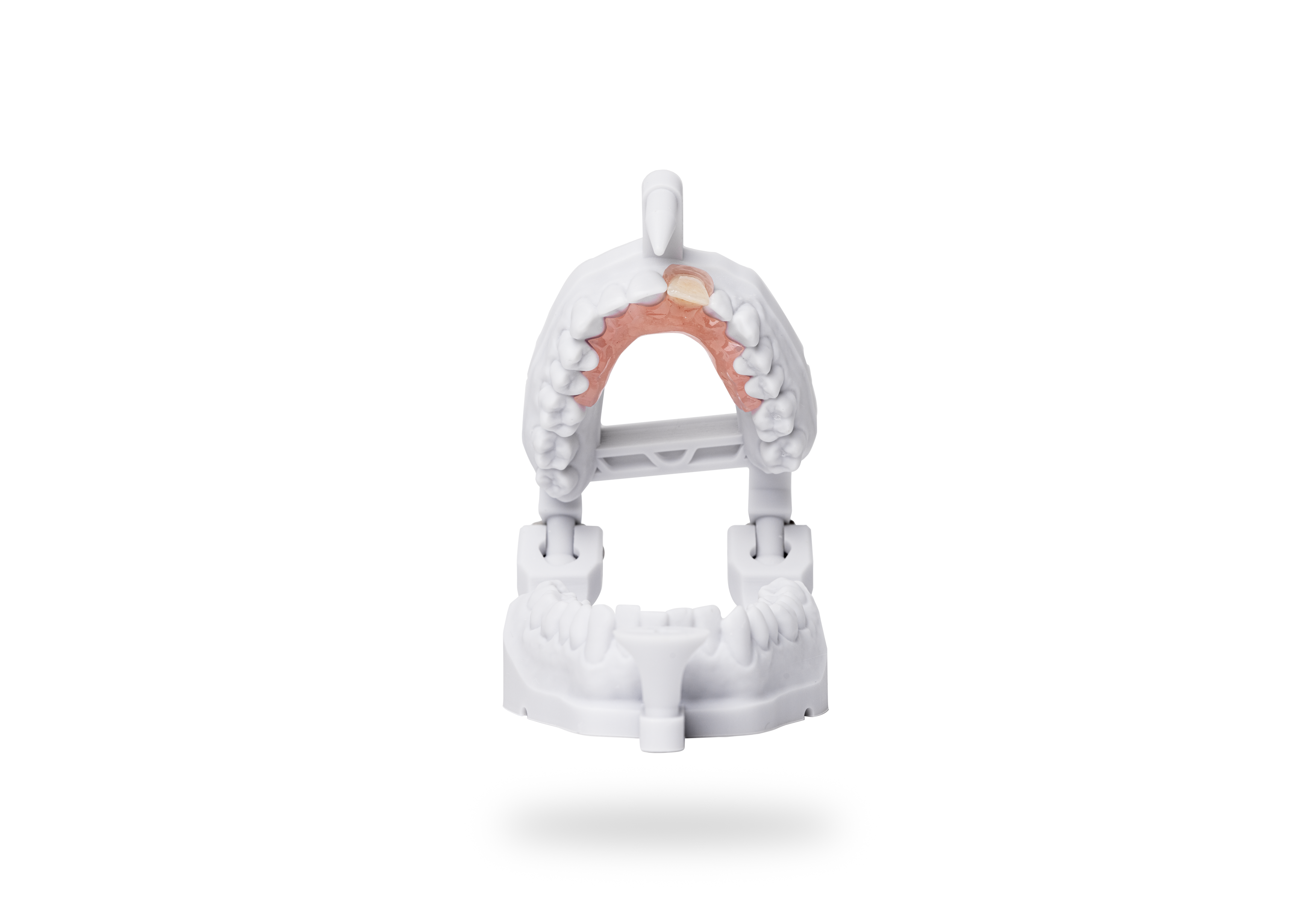 Detax Freeprint Denture Flex Resin Clear 1000 g - 12