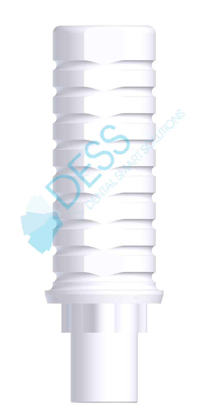 Castable engaging RP for Nobel Replace®