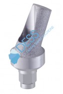 Angled abutment 25° RP