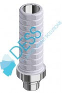 Temporary abutment non-eng. RP+screw