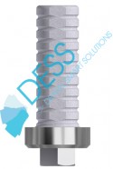Temporary abutment engaging WP + screw
