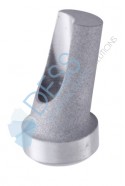 Angled abutment 15° RP (on implant)