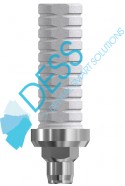 Temporary abutment engaging WP + screw