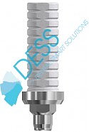 Temporary abutment engaging WP + screw