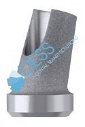 Angled abutment 15° WP