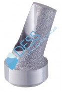 Angled abutment 25° RP