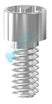 PACK 10:Skruv “Torx®” NC/RC för Straumannn Bone Level® (on multi-base) - flat seat