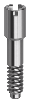 Screws Internal Hex FD