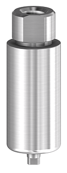Premilled blanks för Anthogyr® Axiom