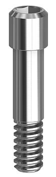 Screws Internal Hex Click