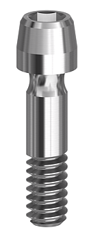 Screws Internal Hex Conic