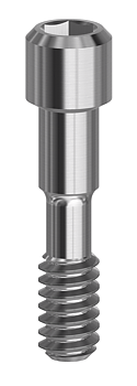 Screws Internal Con