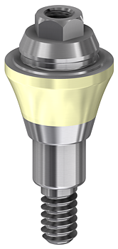 DESS Conical BLT Prosthetic components