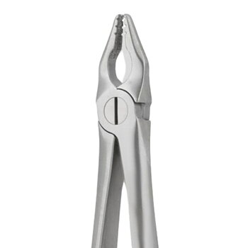 Extraction Forceps