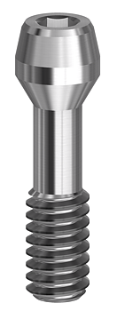 Screws Internal ANK